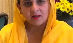 Punjab BJP Mahila Morcha concerned over atrocities against women in municipal polls