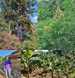 Mizoram: NABARD’s implementing flagship scheme to empower tribals & prevent unscientific farming