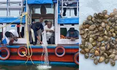 PMMSY: CMFRI releases three million short neck clam seeds into Kerala lake for stock enhancement