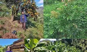 Mizoram: NABARD’s implementing flagship scheme to empower tribals & prevent unscientific farming