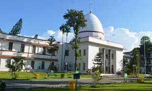 Gauhati HC bans buffalo & bulbul fight during January