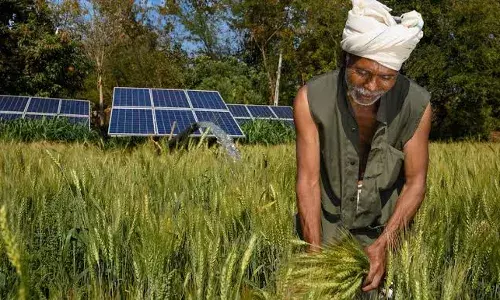 Bihar Governments Energy Department Organizes Interaction Program for Farmers, Firms, and Banks