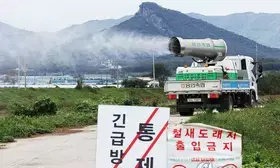 South Korea reports new avian influenza case at duck farm