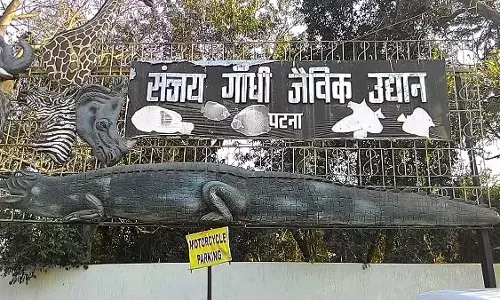 Sanjay Gandhi Biological Park’s Water Park Upgraded to Attract Tourists