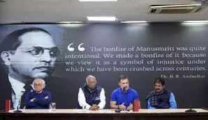 Our protest was peaceful, BJP MPs armed with sticks blocked us from  entering Parliament: Rahul