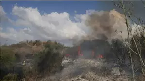 Israeli school hit by missile from Yemens Houthi group Israeli school hit by missile from Yemens Houthi group