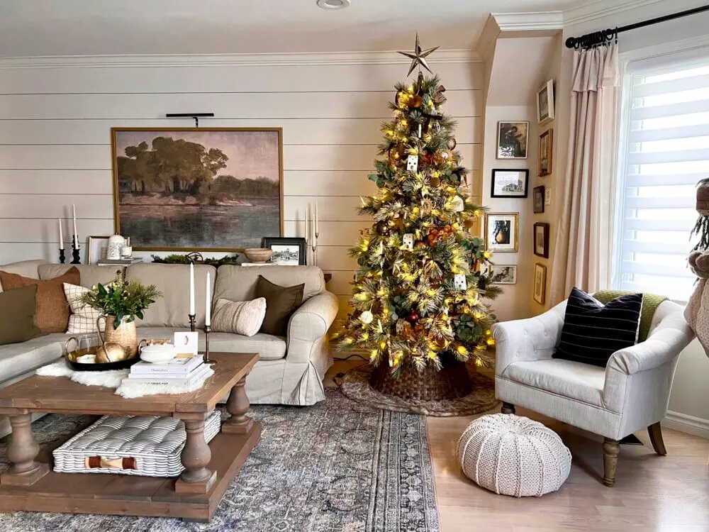 Christmas tree decoration: Make your tree special and memorable this year Christmas tree decoration: Make your tree special and memorable this year