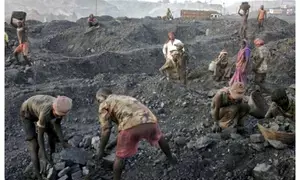 Indias coal imports dip as domestic production rises