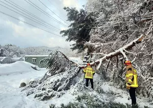 Seoul braces for heavy snow expected through Saturday