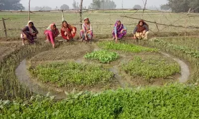 Mission Livelihood: 10 cr rural women working in 90 lakh self-help groups