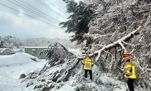Seoul braces for heavy snow expected through Saturday