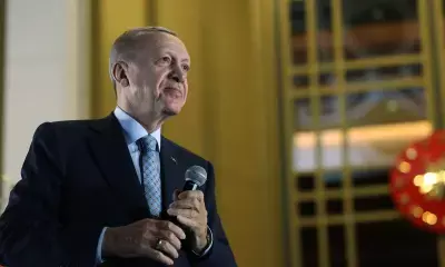 Turkey to support Syrias transition process: Erdogan