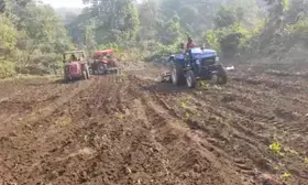 Jharkhand Police destroy over 100 acres of opium cultivation in 15 days