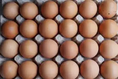 US egg prices soar to yearly high amid bird flu, holiday demand