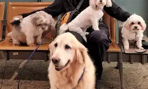 Sunil Grover’s ‘kaarvaan’ with his furry friends