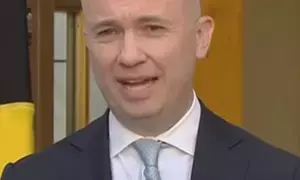 Australia delays decision on 2035 emissions target following Trumps election victory