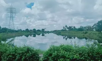 Plea in SC seeks protection of all wetlands under 2017 conservation  and management rules