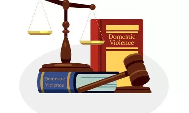 The Dual Imperative: Strengthening Domestic Violence Laws and Preventing Their Misuse The Dual Imperative: Strengthening Domestic Violence Laws and Preventing Their Misuse