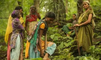 National workshop to focus on local governance in tribal areas