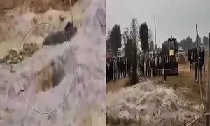 Rajasthan: 3-year-old girl falls into 700-feet borewell; rescue ops underway