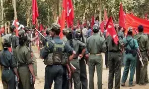 Bihar STF arrested 123 Maoist operatives this year: Official