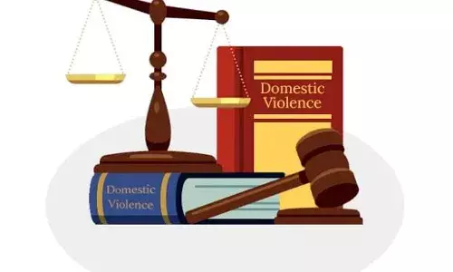 The Dual Imperative: Strengthening Domestic Violence Laws and Preventing Their Misuse