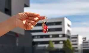 Office leasing market in India sees 14 pc growth in 2024, Bengaluru leads