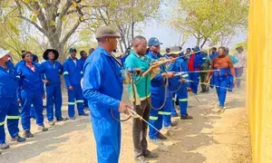 Namibia issues malaria outbreak alert in northern regions after surge in cases