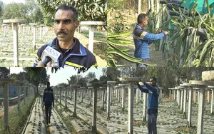 J&K: Samba farmer deploys modern horticulture technique in farming, inspires locals