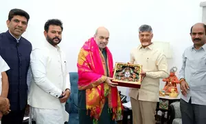 Andhra CM Naidu calls on Amit Shah