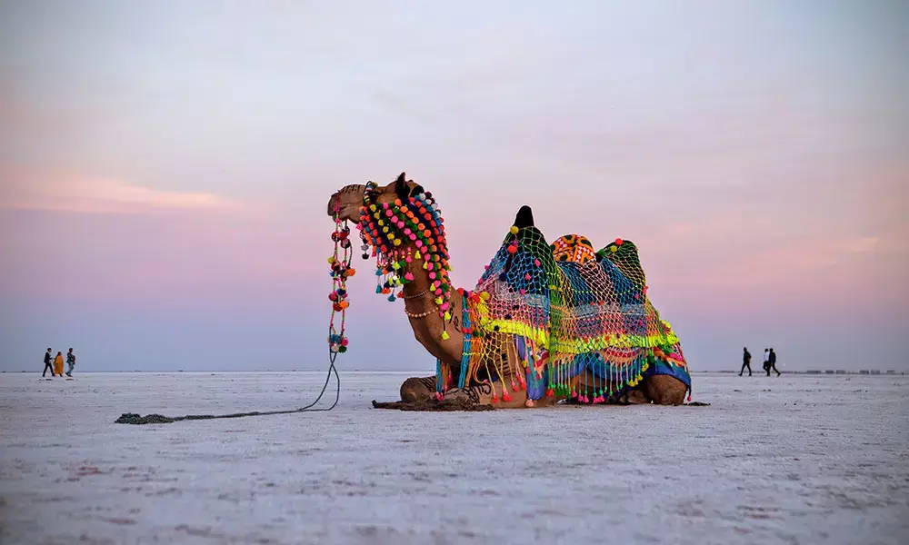 Feeling warm in winter: These tourist places of India where never gets cold in winter