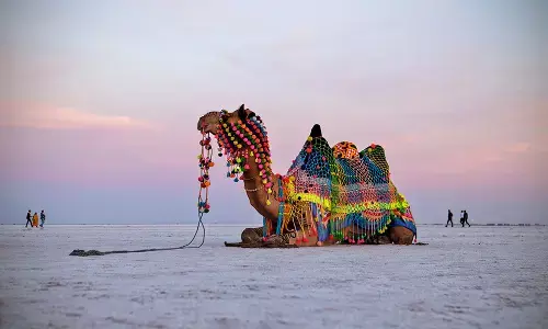 Feeling warm in winter: These tourist places of India where never gets cold in winter Feeling warm in winter: These tourist places of India where never gets cold in winter