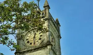 Project to rejuvenate wastelands using Miyawaki method for Ludhiana