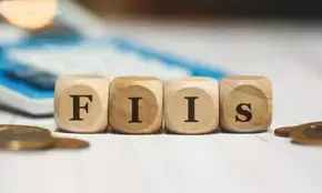 FIIs remain net investors in India this year amid robust economy, resilient market