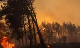 Wildfire destroys 1,400 hectares of national park in Argentina