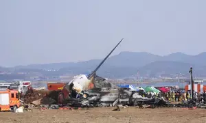 South Korea plane crash: Eyewitnesses report sparks in engine, bird strike; death toll mounts to 127