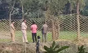 Zeenat gets close to Bengal’s tourist destination, foresters on tenterhooks