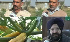 This govt is helping farmers the way a father helps son: Samba farmer on growing exotic vegetable