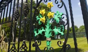 Glamorgan sack head coach Grant Bradburn following misconduct charge