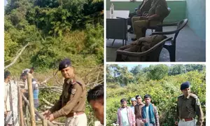 Northeast Frontier Railways steps to safeguard railway tracks from cattle intrusion