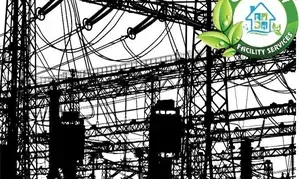 Choose MSEDCLs Go Green facility to get Rs 120 one-time discount on power bills