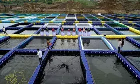 Chhattisgarh women use shut stone quarries for fish farming