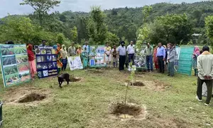 Punjab plants 2.84 lakh saplings in 2024, says minister