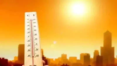 2024 become the hottest year in India since 1901, surpassing 2016 record