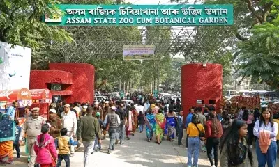 ​Assam state zoo set to get a modern outlook as govt to invest over Rs 300 crore