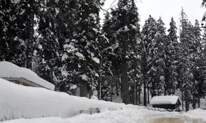Fresh snowfall lashes Kashmir Valley, more likely between January 4-6