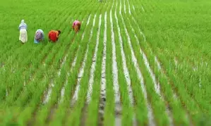 India well-positioned to see significant growth in agricultural export in 2025: Report