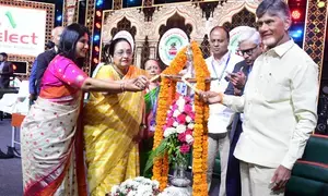 Want to see Telugus on top by 2047: Chandrababu Naidu