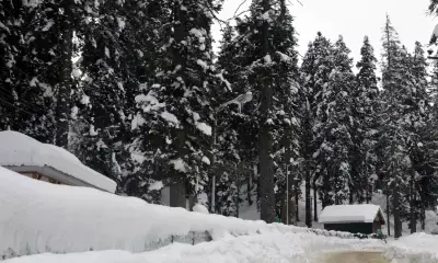 Dense fog disrupts flights in Srinagar; Valley braces for fresh round of heavy snowfall