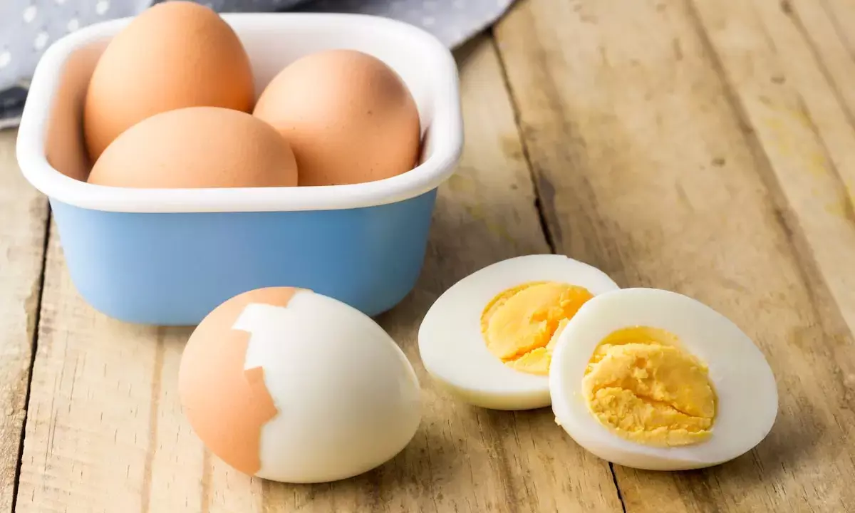 2 Eggs Daily in Winter: The Secret to a Healthy Life